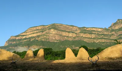 Reserva Ecológica de Chaparri