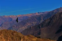 Galería Trekking Cañón del Colca: Sangalle (PRIVADO - 2 días) 1