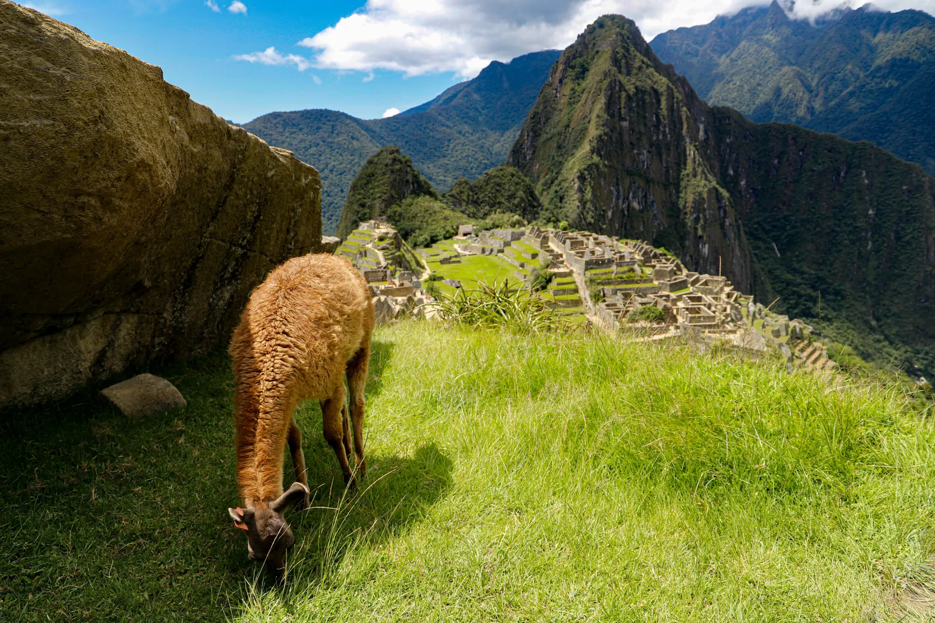 ANIVERSARIO EN MACHU PICCHU