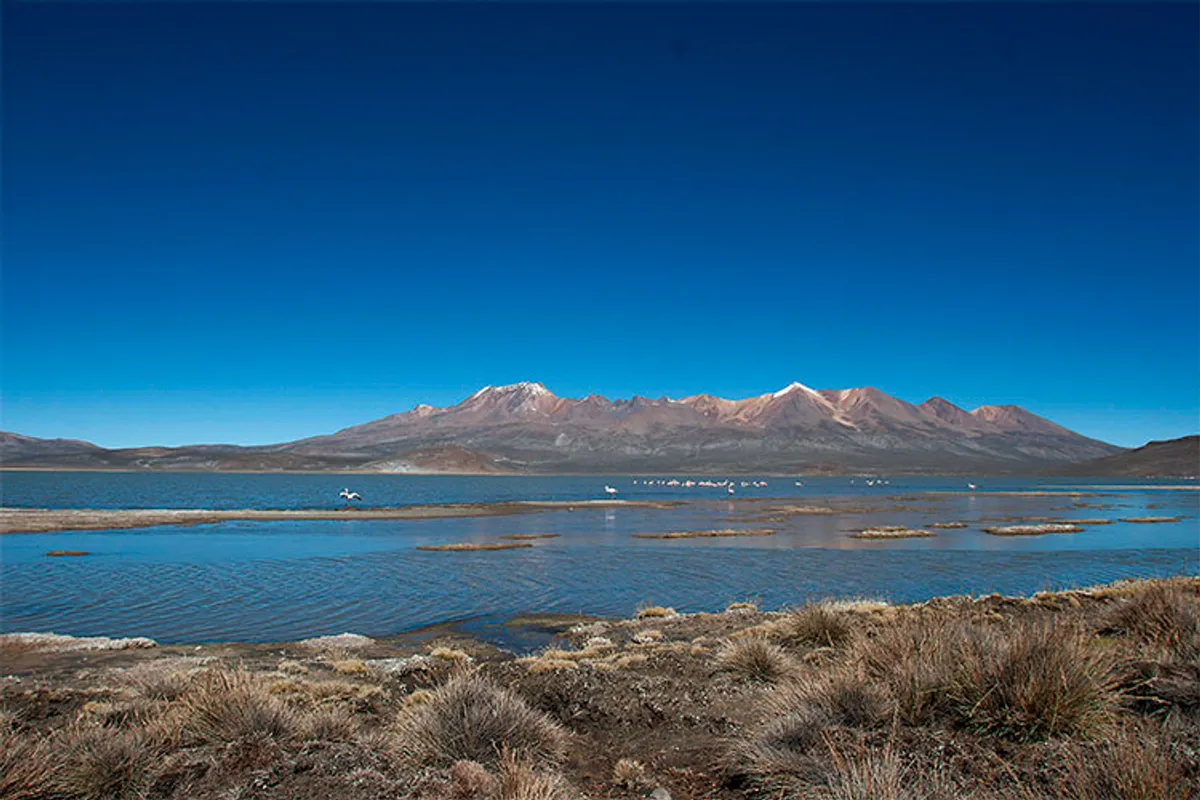 Arequipa: Laguna de Salinas & Volcán y baños termales de Lojen