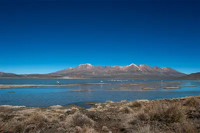 Arequipa: Laguna de Salinas & Volcán y baños termales de Lojen