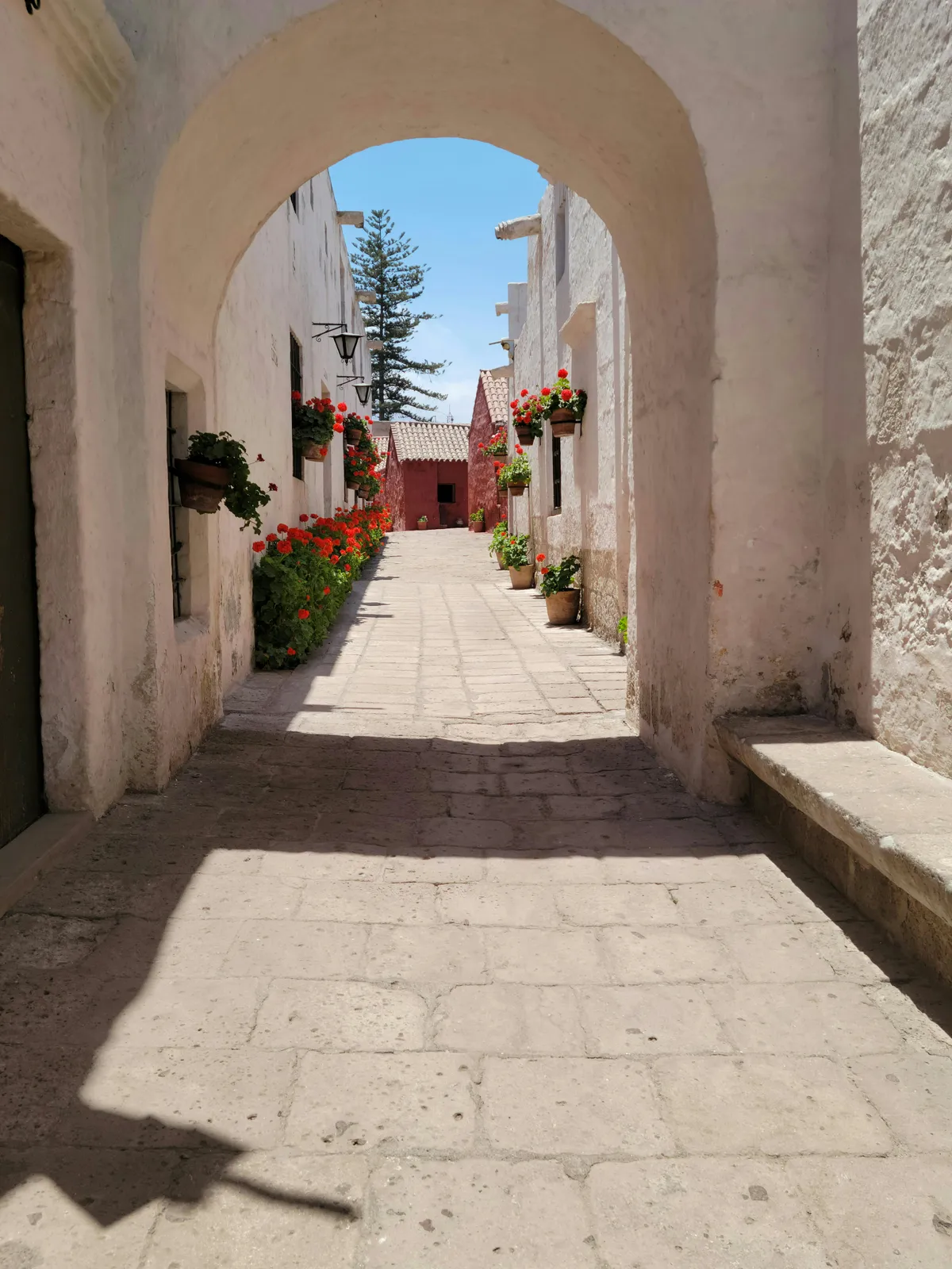 Arequipa: City Tour y Monasterio (Con movilidad)