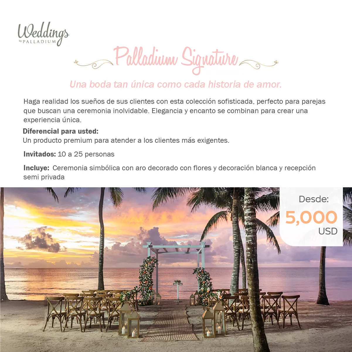 Paquete Palladium Resort