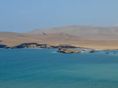 Paracas