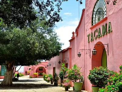 Ruta del pisco 02 días