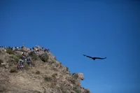 Galería Trekking Cañón del Colca: Chimpa y Achachihua (PRIVADO) 2